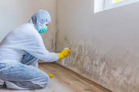 Best Attic Mold Removal  in Henderson, GA