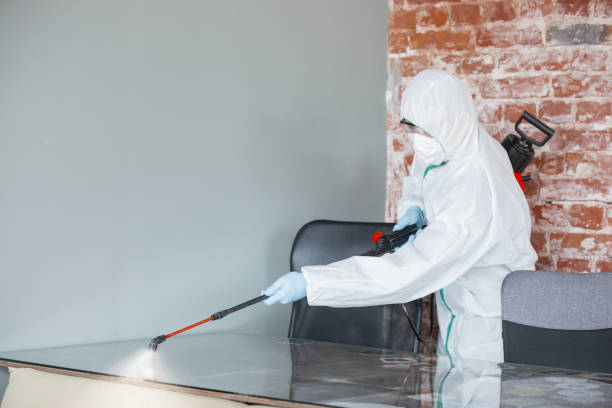 Mold Documentation for Insurance Claims in Henderson, GA